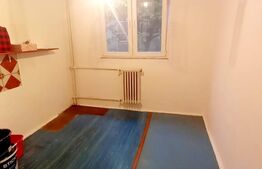 Garsoniera 26mp, Aleea Rogerius, etaj 1