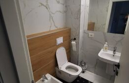 Apartament de 2 camere, 46 mp, zona Decebal