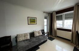 Apartament petfriendly de 2 camere, 55 mp, cartierul Luceafarul
