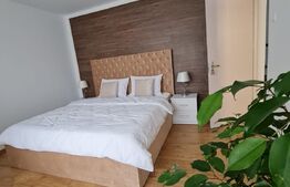 Apartament pet friendly de 3 camere, 60 mp, zona Rogerius 