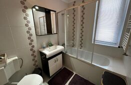 Apartament de 2 camere cu terasa, 50 mp, blocurile Ared