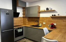 Apartament de 2 camere, 44 mp, zona Universitatii