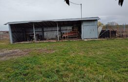 Hala industriala de vanzare la 30km de Oradea