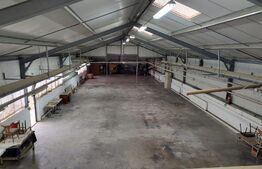 Hala industriala de vanzare la 30km de Oradea