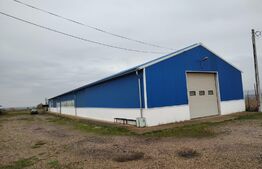 Hala industriala de vanzare la 30km de Oradea