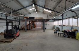 Hala industriala de vanzare la 30km de Oradea