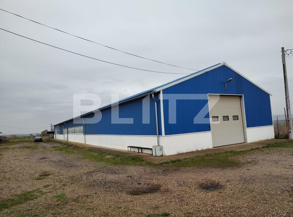 Spațiu industrial de vânzare Nord-Est - 130828SVI | BLITZ Oradea | Poza1