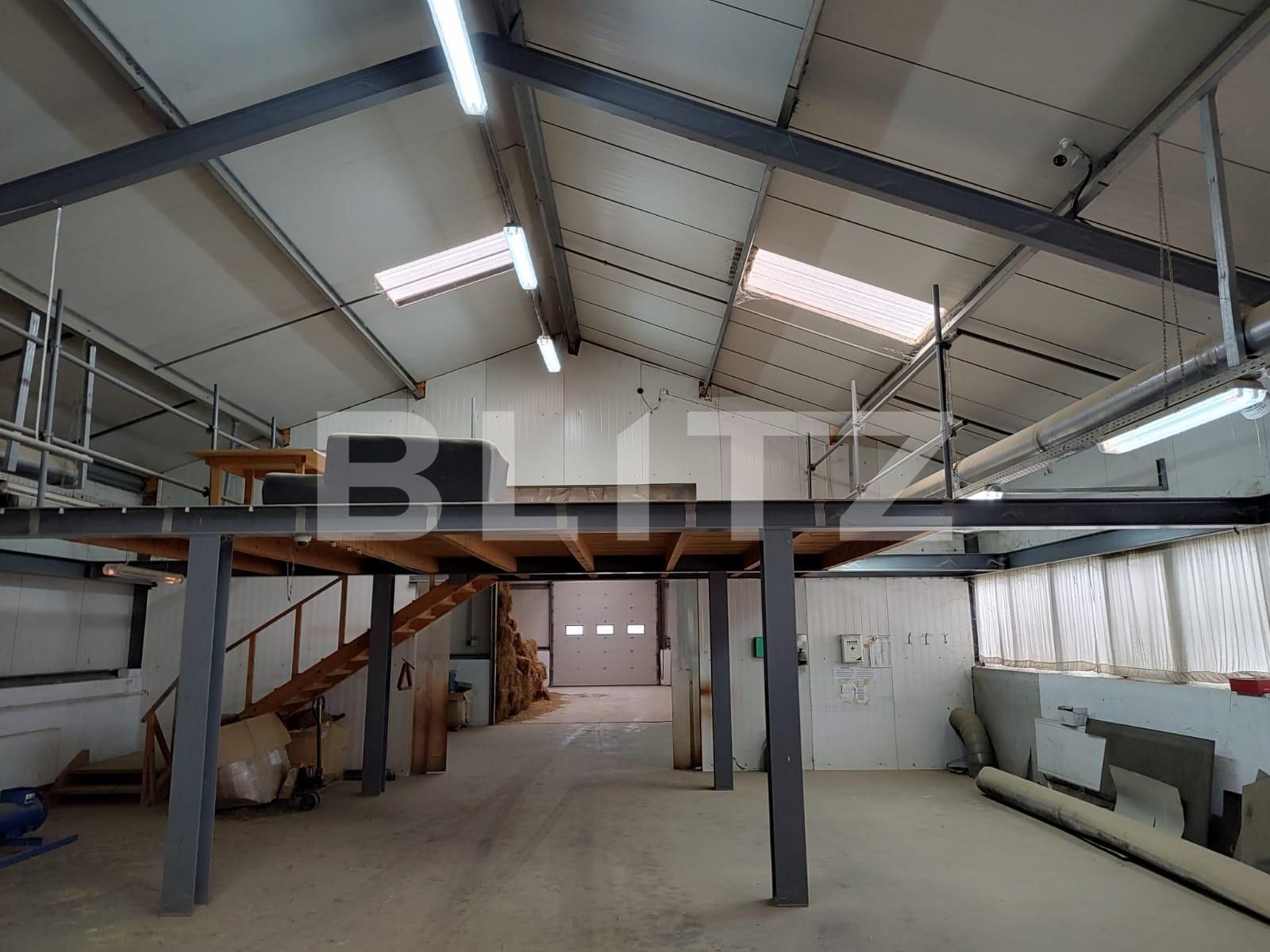 Spațiu industrial de vânzare Nord-Est - 130828SVI | BLITZ Oradea | Poza2