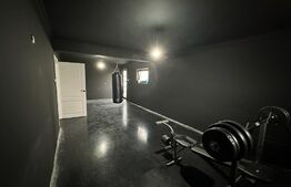 Casa 5 camere, 230mp, in cartierul Tineretului