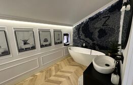 Casa 5 camere, 230mp, in cartierul Tineretului