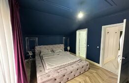 Casa 5 camere, 230mp, in cartierul Tineretului