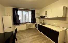 Apartament de 2 dormitoare, 55 mp, Splaiul Crisanei