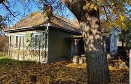 Casa cu 4 camere in Haieu la 2 minute de mers pe jos de complexul PERLA