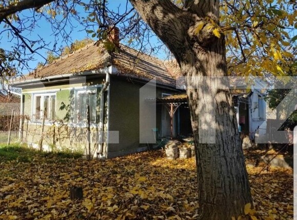 Casa de vânzare 3 camere Haieu - 131478CV | BLITZ Oradea | Poza6