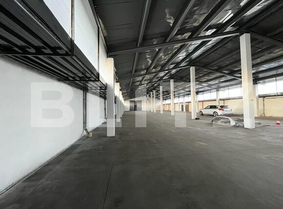 Spațiu industrial de închiriat Episcopia Bihorului - 131768SII | BLITZ Oradea | Poza1