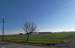 teren intravilan 500mp, constructie case, Sintandrei, gaz