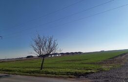 teren intravilan 500mp, constructie case, Sintandrei, gaz