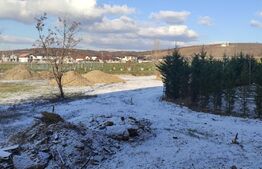 Apartamente cu una sau doua camere in ansamblu rezidential nou in Oradea