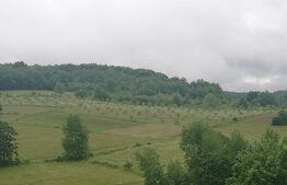 Casa cu teren de 65000 mp in Bratca, zona turistica