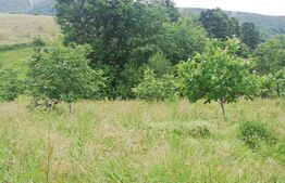 Casa cu teren de 65000 mp in Bratca, zona turistica