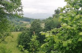 Casa cu teren de 65000 mp in Bratca, zona turistica