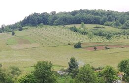 Casa cu teren de 65000 mp in Bratca, zona turistica