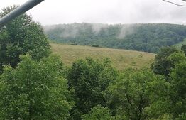 Casa cu teren de 65000 mp in Bratca, zona turistica