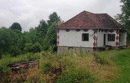 Casa cu teren de 65000 mp in Bratca, zona turistica