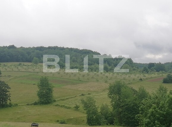 Casa de vânzare 2 camere Exterior Sud - 133424CV | BLITZ Oradea | Poza8