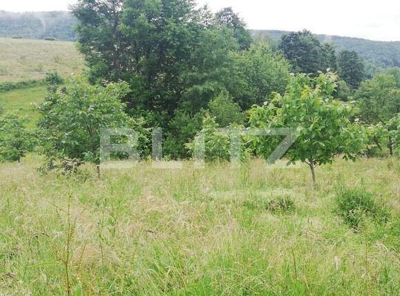 Casa de vânzare 2 camere Exterior Sud - 133424CV | BLITZ Oradea | Poza4