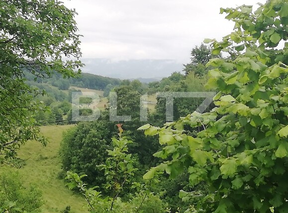 Casa de vânzare 2 camere Exterior Sud - 133424CV | BLITZ Oradea | Poza6