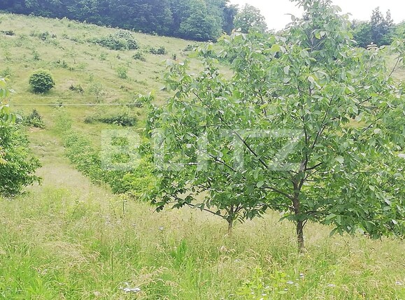 Casa de vânzare 2 camere Exterior Sud - 133424CV | BLITZ Oradea | Poza7