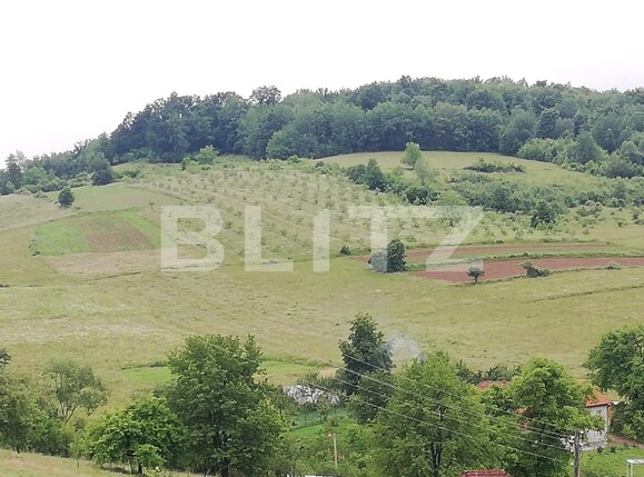 Casa de vânzare 2 camere Exterior Sud - 133424CV | BLITZ Oradea | Poza1