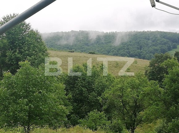 Casa de vânzare 2 camere Exterior Sud - 133424CV | BLITZ Oradea | Poza5