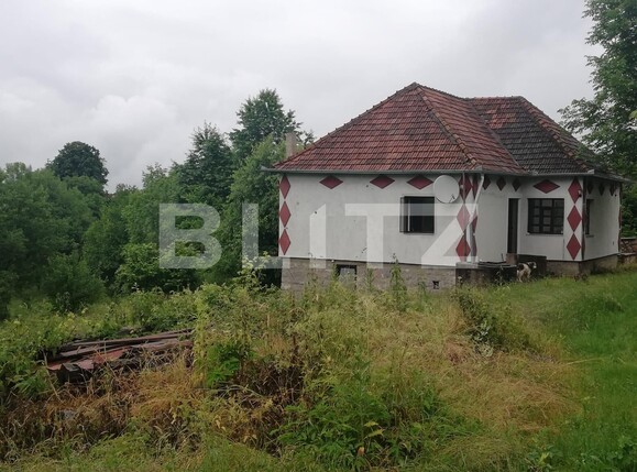 Casa de vânzare 2 camere Exterior Sud - 133424CV | BLITZ Oradea | Poza3