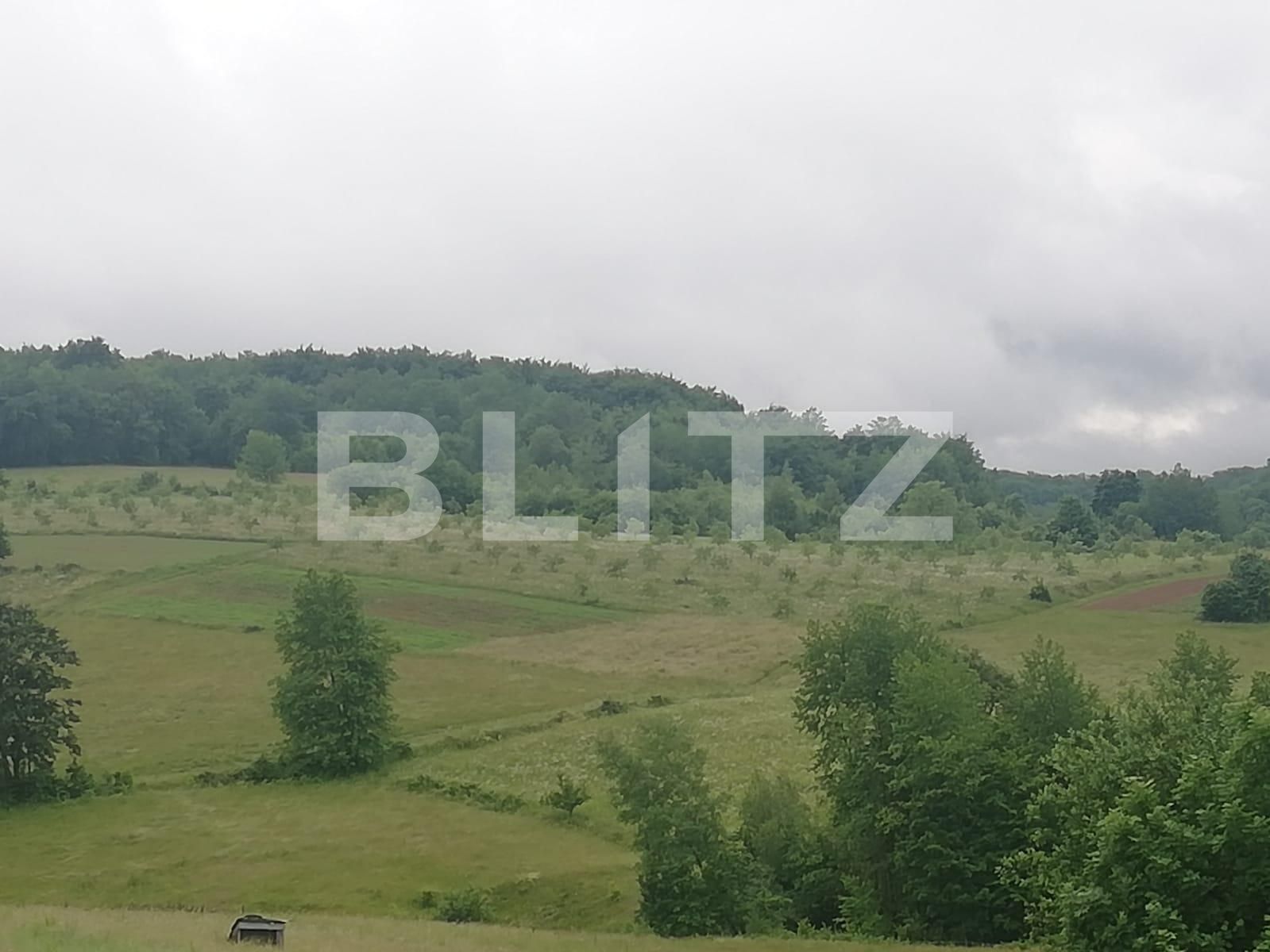 Casa de vânzare 2 camere Exterior Sud - 133424CV | BLITZ Oradea | Poza8