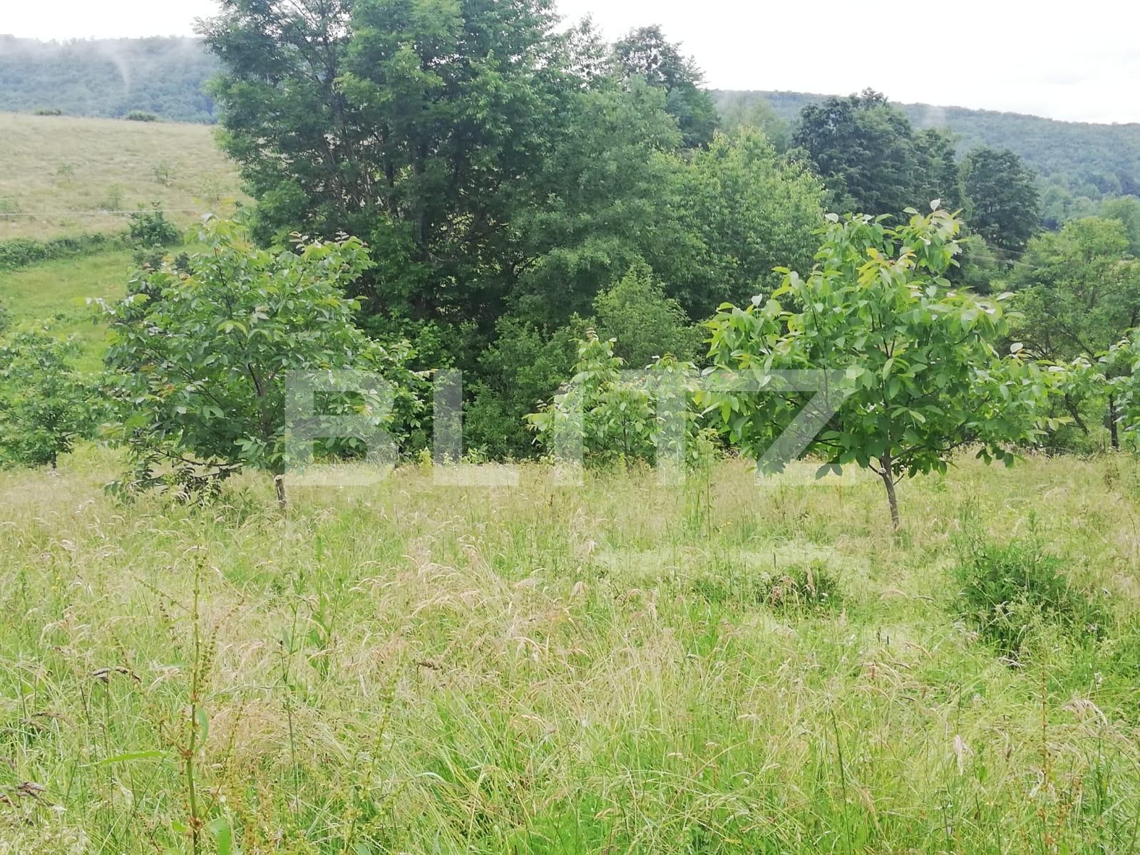 Casa de vânzare 2 camere Exterior Sud - 133424CV | BLITZ Oradea | Poza4