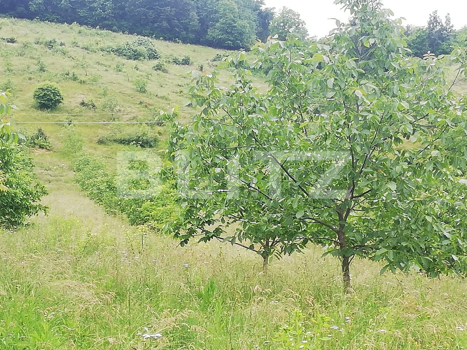 Casa de vânzare 2 camere Exterior Sud - 133424CV | BLITZ Oradea | Poza7