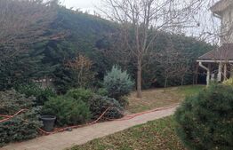 Casa superba in Sanmartin, suprafata utila 180mp si teren 700 mp 