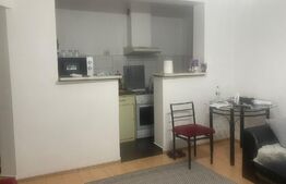 Apartament de vânzare,44 mp, zona Dacia 
