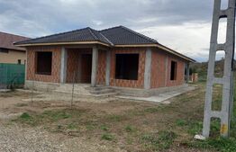 Casa de vanzare la rosu in Fughiu