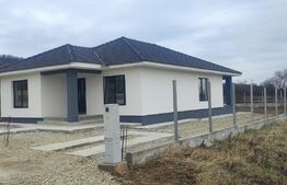 Casa moderna pe un singur nivel in Podgoria 