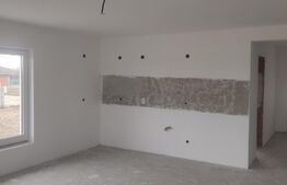 Casa moderna pe un singur nivel in Podgoria 