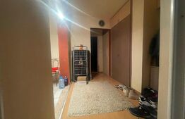 Apartament cu 2 camere , în bloc cu acoperiș - Iosia