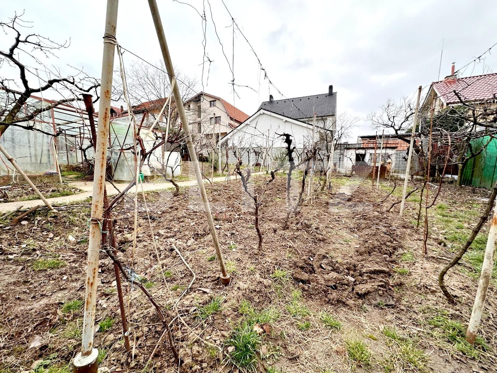 Casa de vânzare 3 camere Dealuri Oradea - 136128CV | BLITZ Oradea | Poza4