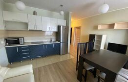 Apartament 2 camere, 48 mp, mobilat utilat, cartierul Luceafarul