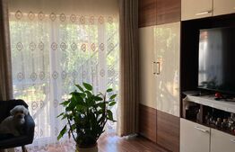 Casă în zona Centrală - Construcție 2010