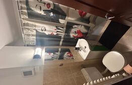 **Închiriere Apartament cu 3 Camere pe Două Niveluri