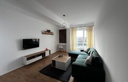 Apartament de 2 camere, 50 mp, zona Mestesugarilor