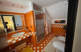 Proprietate versatilă cu două apartamente și casă cu trei nivele